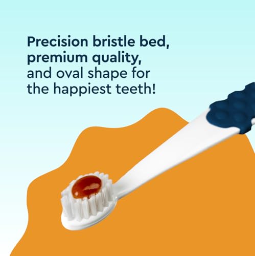 RADIUS USDA Organic Dental Solutions Kit dental para cães para todas as idades, 1 unidade, 1 escova