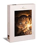 Te mostramos motivos de puzle seleccionados a mano para adultos con un diseño moderno, en una elegante caja de puzzle que subraya el valor del rompecabezas