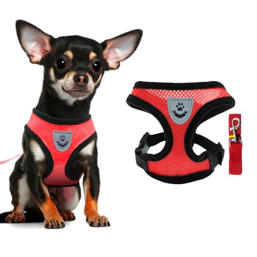 FFWTPY Harnais Respirant Maille Ajustable Gilet Confort Promenade Chien Chihuahua Petit Moyen Animaux Compagnie Laisse Attache Sécurité