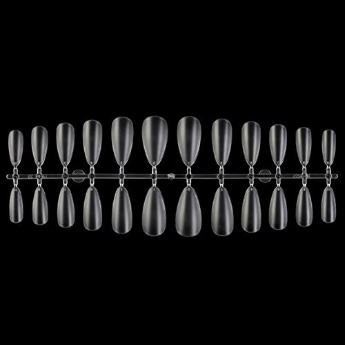 Vodisa Clear Nail Tips Fake Nail Tips Artificial Acrylic False Nail Tips with Storage Case for Nail Salons Home and DIY Nail Art 240pcs 12 Sizes Long False Nail (Matte Nail Tips)