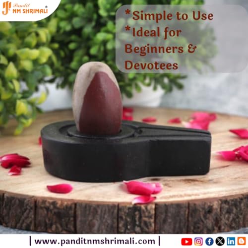 Image of PANDIT NM SHRIMALI Original 4 Inch Narmadeshwar Stone Shivling | Natural Banalinga Lingam for Puja, Vastu, and Meditation | Holy Stone from Narmada River