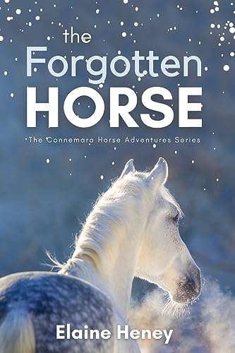 The Forgotten Horse – Book 1 in the Connemara Horse Adventure Series for Kids. The perfect gift for children age 8-12.