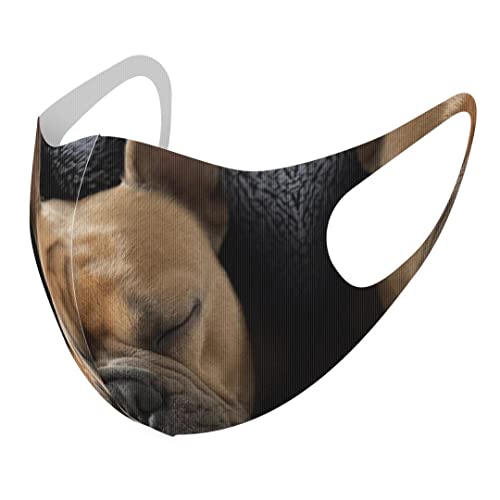 [igsticker] fUC }XN QZbg |GXe 􂦂 z}XN XLTCY 傫 jp 025947   t`uhbO