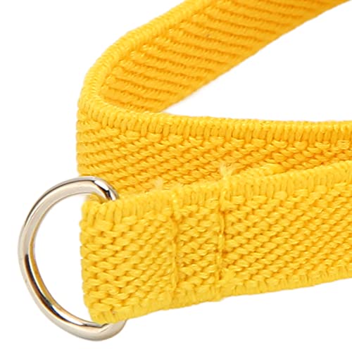 Image of Bird Harness Leash, Premium Bird Harness and Leash Pet Outdoor Flying Rope Training Supplies for Parrots Pigeons Birds(Yellow)