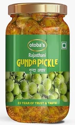 Premium seedless Gunda Pickle | since 1999 homemade style handmade pickle | No chemical | No artificial color | No outsourcing | Tasty & Spicy | 400gm