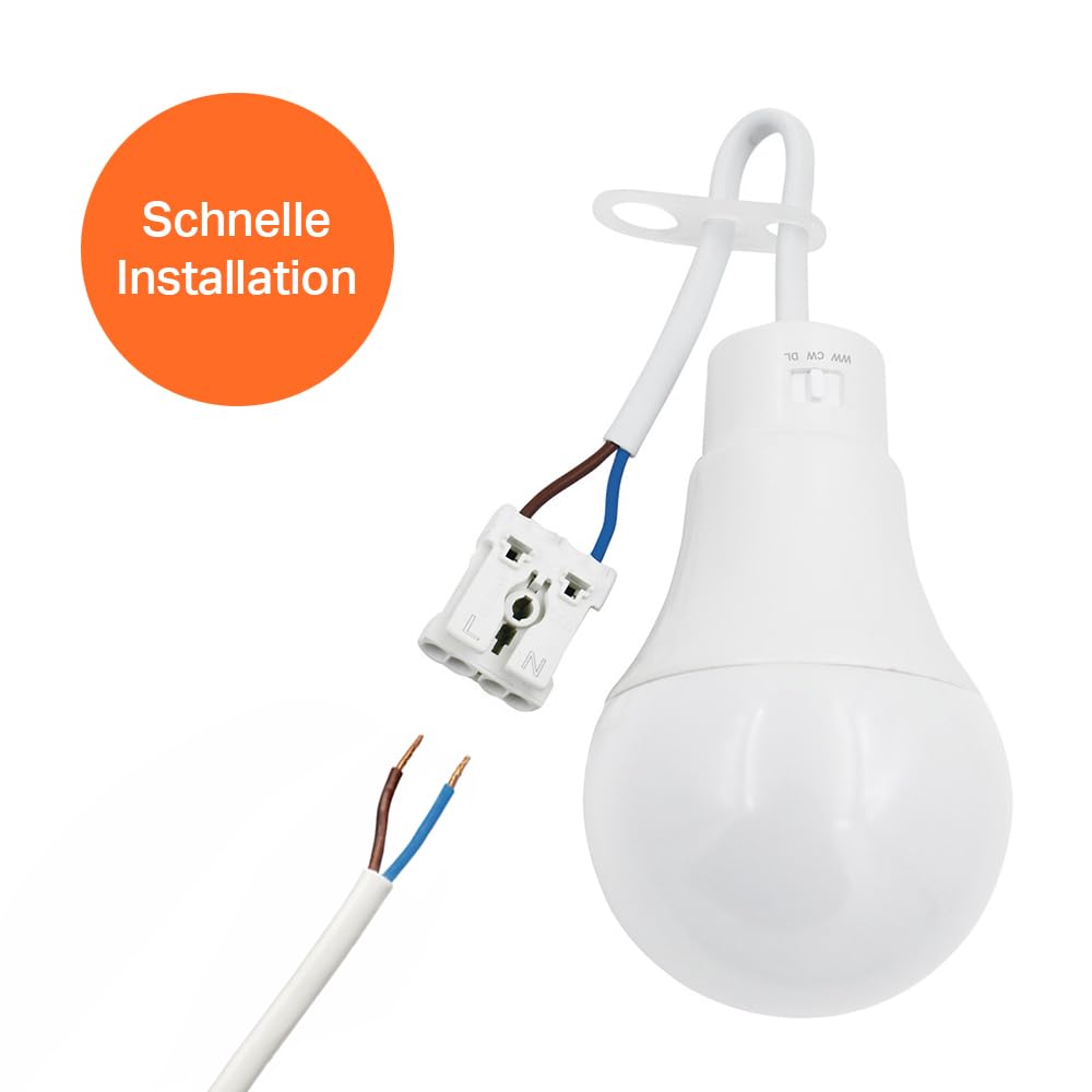 NCC-Licht 10 x lampa LED do renowacji 10 W, CCT regulowana barwa światła, wytrzymała obudowa z żarówką i zaciskiem wtykowym, oświetlenie robocze na strych i piwnicy