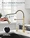 FORIOUS Kitchen Faucet with Soap Dispenser, Gold Stainless Steel Single Handle Modern Spring Commercial Sink Faucet with Pull Down Sprayer for Laundry & Utility Room RV Camp Bar Farmhouse