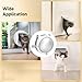Vestamore Cat Door, White, 4-Way Locking, 31 X 26 Cm, Interior Installation