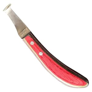 Japanese Stainless Steel Sharp Hoof Knife – Smooth Wooden Handle Made of Premium Materials