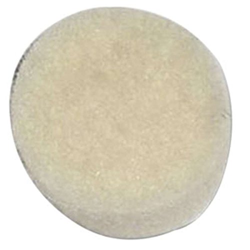 Pace SodrXTractor Filter for SX70, SX100, SX90 Handpieces Amazon