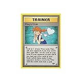 Pokemon - Misty39;s Wish (108) - Gym Challenge