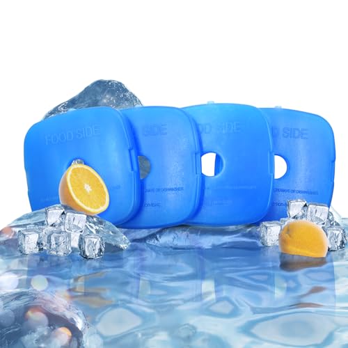 WORLD-BIO Ghiaccio Sintetico Riutilizzabili Freezer Pack per Borse Frigo, raffredda e mantengono freschi i cibi, Ideali per Campeggio, Picnic, pranzi, e Viaggi,Confezione da 4