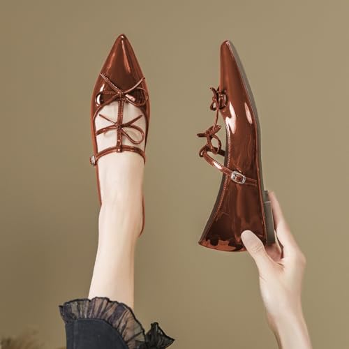 Zszszsu Women's Pointed Toe Mary Jane Flats Single Buckled T-Strap with Bowknot Comfy Dressy Daily Office Party Shoes Size 4-16 US2