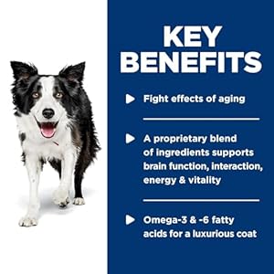 Hills Science Diet Senior Vitality Senior Adult 7+ Senior Premium Nutrition Wet Dog Food Chicken  Vegetables Stew 125 Oz Can Case of 12  Cucciolini Doodles Hills science diet senior vitality senior adult 7+ senior premium nutrition wet dog food chicken  vegetables stew 12 5 oz can case of 12   cucciolini doodles