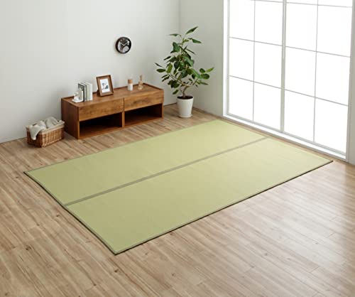 イケヒコ ラグ カーペット 日本製 ミーサ グリーン 江戸間1畳 約87×174cm リバーシブル 丈夫 ペット 国産 #1090740120802