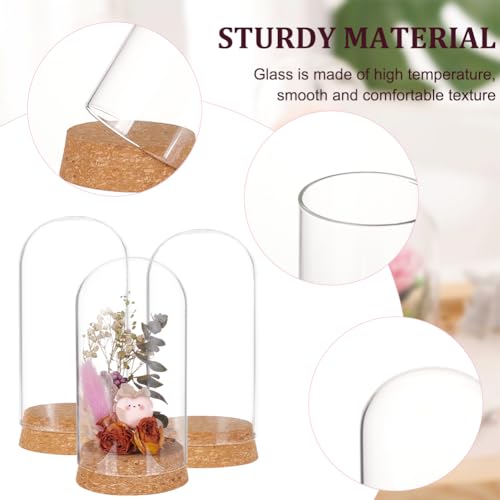 BENECREAT 3 Set Dome Display Glass Jar with Cork, 65x133mm Bell Cloche Glass Decoration Case for Flower Plants Specimens - Image 4