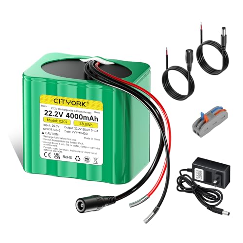 Rechargeable 24V 4000mAh Lithium Battery with Charger, Bare Leads Wire Battery Pack Compatible with 24V Devices, DIY Project, Ride-On Cars, Toys, Solar Panels, Camcorder, LED Strip etc