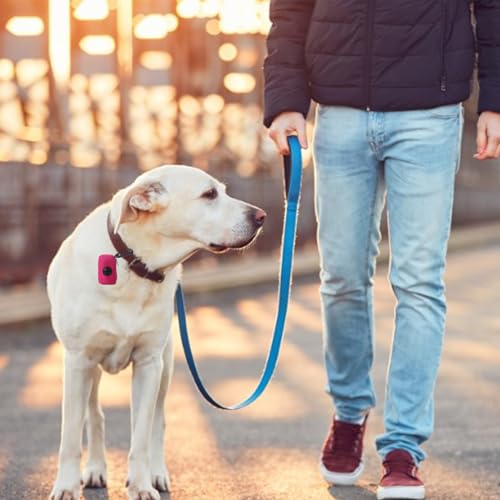 Besreey Hundetaschenhalter - Hundekotbeutelhalter aus Netzstoff mit Leinenbefestigung und Reißverschluss - Hundebeutelspender mit großer Kapazität, tragbarer Kotbeutelhalter für Hunde, Spaziergänge