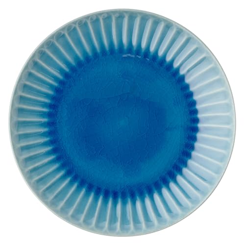 TOKI1919 MINOYAKI �g���R�� ���{�H �`���� ���̂� 5���M ���a��15×2cm ���Z�� �݂� �a�H �M ���� ���� ���X�g���� �d�l �H�� �d�q�����W�� �H��@�� �ѓ� �g���R���̂��� �� �u���[ ���{�� 38K250-13