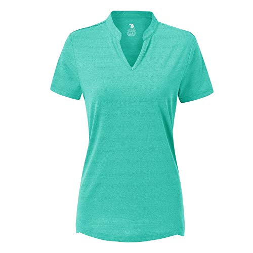 Basudam Women's Golf Polo Shirts V-Neck Short Sleeve Collarless Tennis Running T-Shirts Quick Dry Light Blue L #TOP1