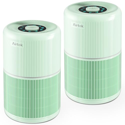 2-Pack Compact True H13 HEPA Air Purifier with Carbon