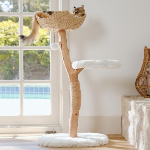 Image of Mau - Modern Wood Cat Tree Tower with Scratching Post, Aesthetic Cat Condo
