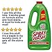 Spray 'n Wash Pre-Treat Laundry Stain Remover Refill 60 Ounce (Pack of 3)