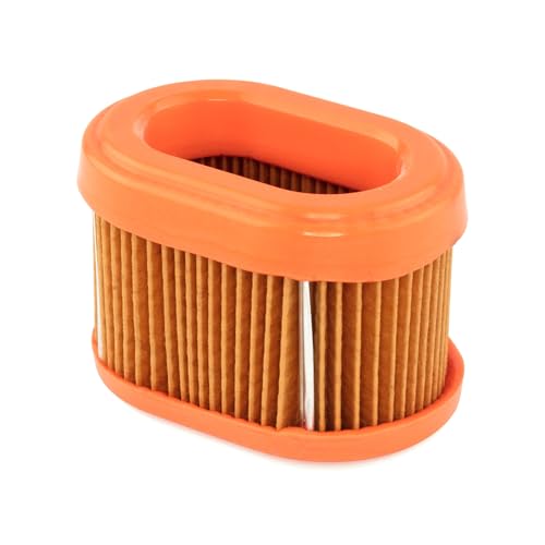 Briggs & Stratton 790166 Oval Air Filter Cartridge