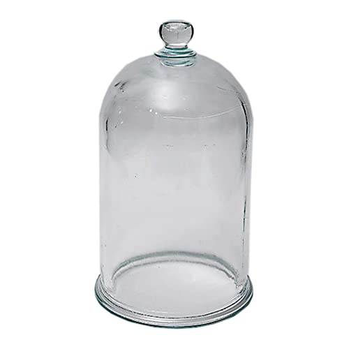 Fischer Technical BJAR-02 Glass Bell Jar
