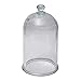 Fischer Technical Company BJAR-01 Glass Bell Jar with Knob, 5