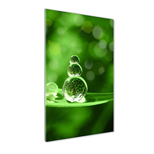 Tableau plexiglas vert 60x120 cm herbe Tulup