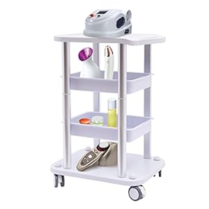 Spa Salon Trolley Stand, 4 Layers Trolley Beauty Salon Cart Beauty Rolling Storage Equipment Organizer 220lbs, Instrument Rolling Cart Fits Sanatoriums Families