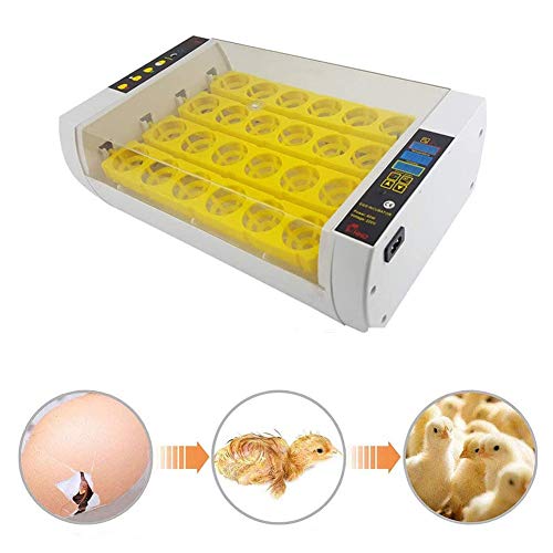 ZFF Egg Incubators Automatic Turning Temperature Control With LED Light Hatcher Hatching 24 Eggs Poultry Quails Chicken Ducks Goose Birds
