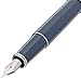 Pilot Prera Fine-Nib, Slate Gray Body Fountain Pen (FPR-3SR-SGY-F)