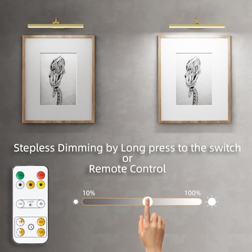 Luz de imagem operada por bateria, luz de exibição de arte com escurecimento contínuo, adequada para