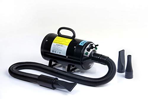 Secador e soprador 2 em 1 para cães e gatos 2400w 220v