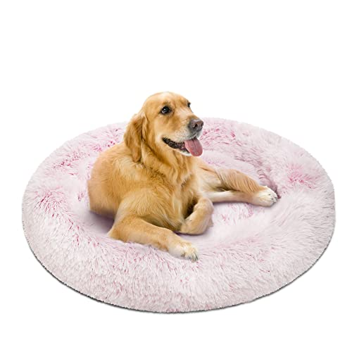 Friends Forever Donut