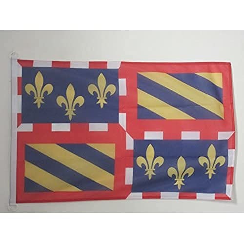 AZ FLAG - Drapeau Bourgogne - 45x30 cm - Pavillon Nautique Bourguignon - France Spécial Bateau Et Extérieur En Maille Bloquée Avec Anneaux Plastiques...