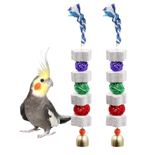 Dnoifne 2 Pack Bird Chewing Toy, Parrot Beak Grinding Calcium Stone with Bells, Bird Cage Accessories, Cage Toys for Cockatiel Parakeet Parrot Budgies Rat Hamster Chinchilla Rabbit Bunny African Grey