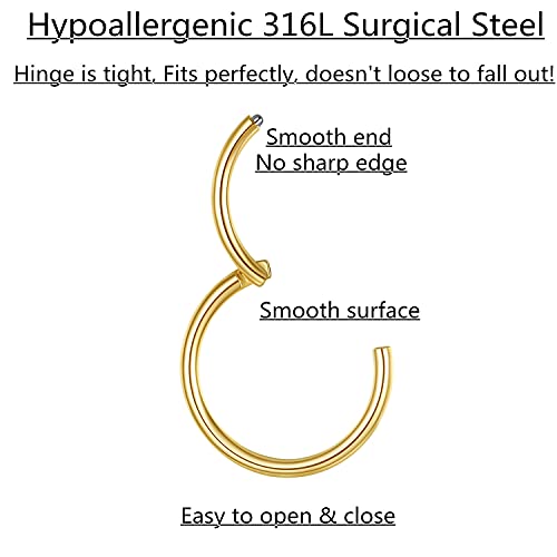 Hypoallergenic Hinged Hoop Nose Rings 20G 18G 16G 14G 12G 10G 8G Diameter 5mm to 16mm 316L Surgical Steel Septum Ring Body Piercing Jewelry Helix Cartilage Earrings2