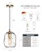 CASAMOTION Pendant Lights Kitchen Island Clear Glass Organic Globe Modern Gold Ceiling Hanging Light Fixtures Bar Counter Porch Patio Over Sink Dining RoomTable 8 Inch Height