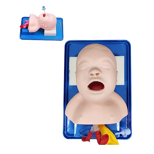 Tracheal Intubation Infant Model - Oral/Nasal Intubation Manikin Simulator with Endotracheal Tube, Airway Managment Teaching Aid Kit for Science Lab Study/Practice