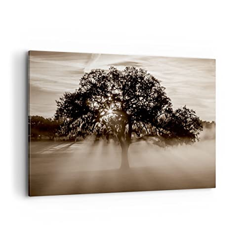 Cuadros Decoracion Salon arbol campo naturaleza Lienzos decorativos 120x80cm Cuadro Sobre Lienzo Moderno Dormitorio Cocina Cuadros Pared Imágenes Wall Art Prints Decor Canvas Grande XXL AA120x80 3811