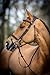 LeMieux Kudos Work Bridle - Brown - Cob
