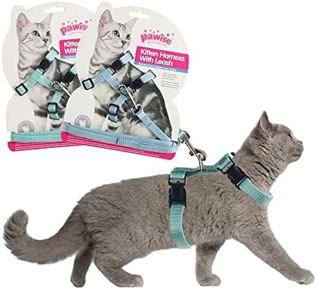 kitten walking harness
