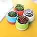 DeElf 15 Pack Small Succulent Pots 3 Inch Plastic Mini Planters with Drainage for Window Wall, Bulk