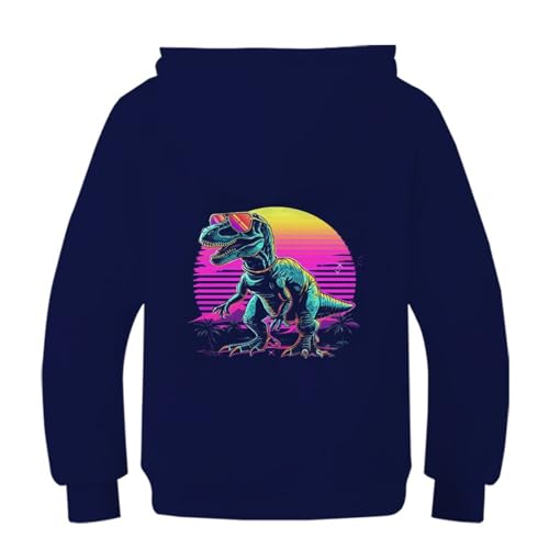 Sweat capuche dinosaure pull original à offrir pour enfant de 9 à 11 ans - 2