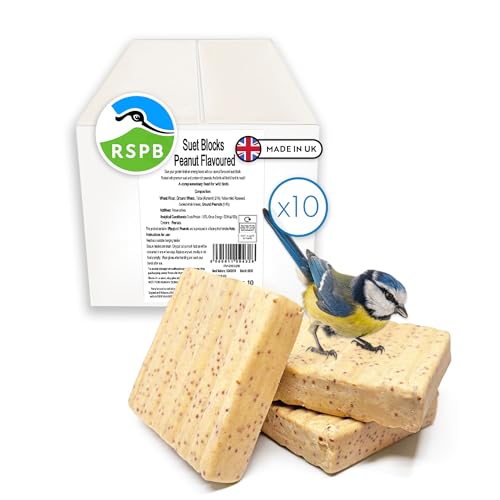 RSPB - Suet Blocks for Wild Birds Wild Bird Food with Premium Ingredients Made in the UK Healthy and Nutritious Suitable for Year-Round Feeding (Peanut Flavour) (10 x 280g)