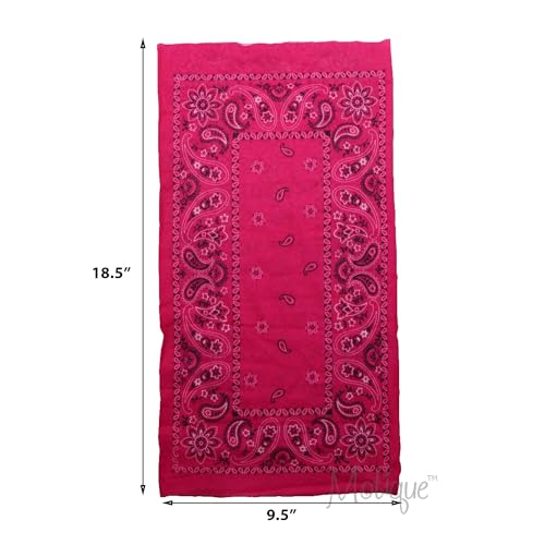 Image of Paisley Bandana Neck Gaiter Tube Headwear Motorcycle Face Scarf