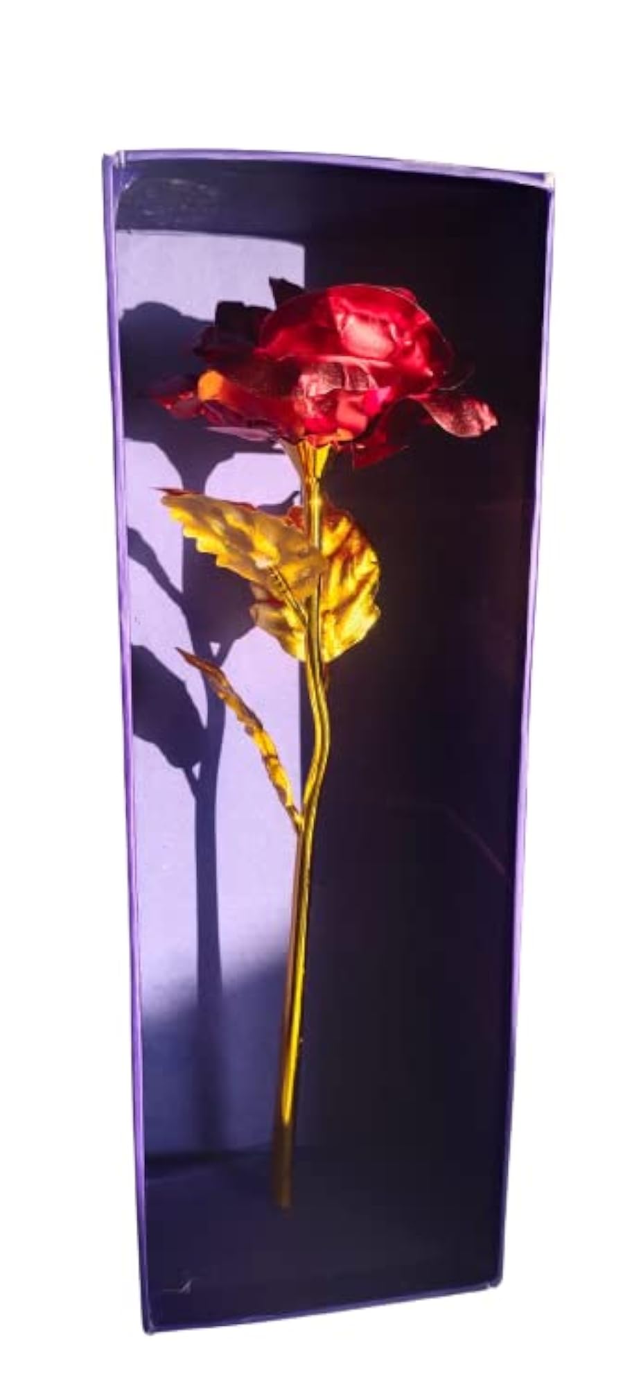 Valentine's Day Gift Combo, Red Rose & Teddy